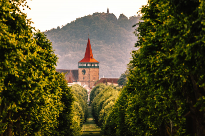 Lipová alej, vzadu Valdická brána - Veliš