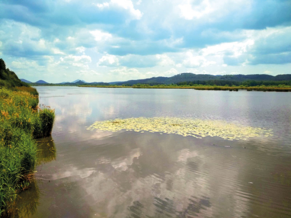 Novozámecký rybník