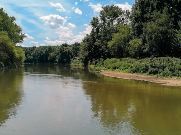 Na soutoku Moravy a Dyje