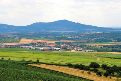 Pohled k Pálavským vrchům