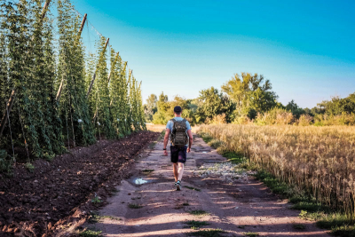 Stekník – Stezka mezi chmelnicemi