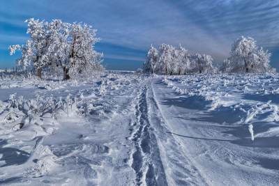 Krušnohorská pláň
