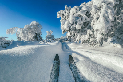 Krušné hory v zimě