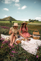 Proč do Jihomoravského kraje v roce 2024?