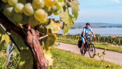 Na kole za vůní Pálavy