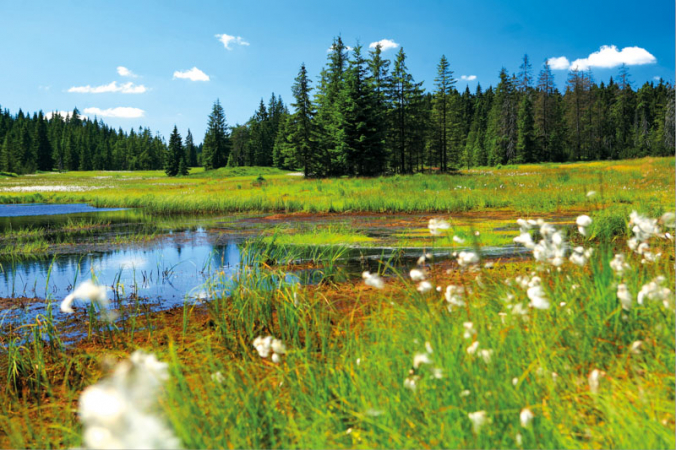 Tvář Krušných hor