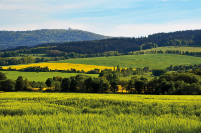 Pohled na Čerchov s rozhlednou