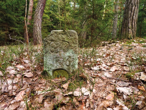 Patník GD 1876, němý svědek z Branišovského lesa
