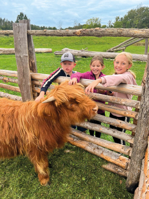 Keltský skanzen Nasavrky