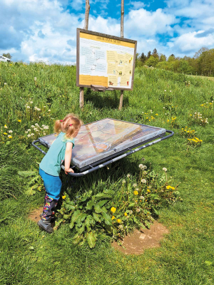 Stezka Kukyho les v Březinách u Poličky