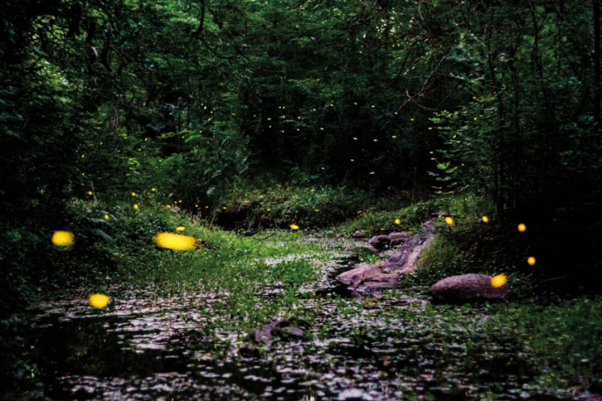 Bludičky, KAM se podíváš