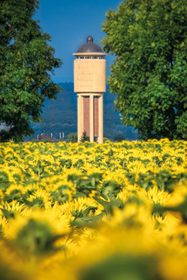 Rozhledna Vodárna nabízí výhled na značnou část Polabí