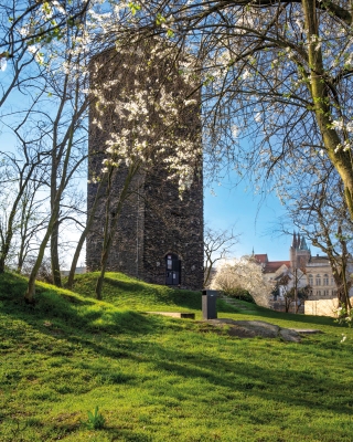 Pozdně gotická věž Práchovna je dominantou Zálabí