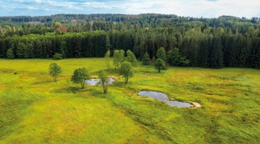 Přírodní rezervace Maršálka soutěží o cenu sympatie