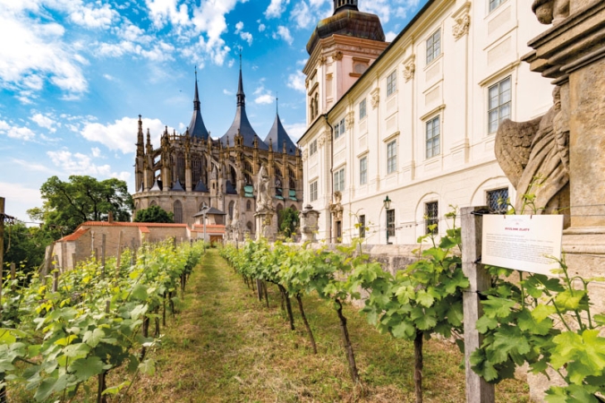 Kutná Hora, vinice pod bývalou jezuitskou kolejí