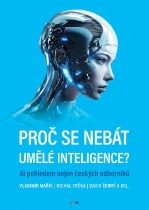 Proč se nebát umělé inteligence