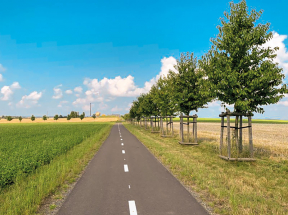 Do Vítkova a okolí