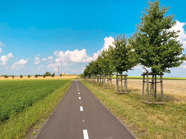 Jeden u úseků cyklostezky