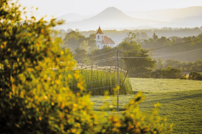 Krajina žateckého chmele