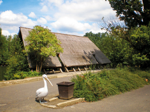 zoo04.jpg