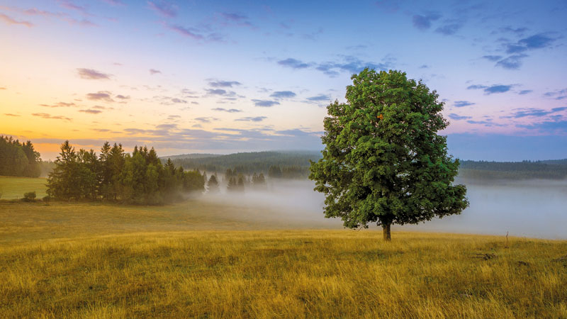 Die Landschaft des Böhmischen Waldes
