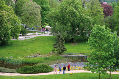 Widok z Domu Chopin