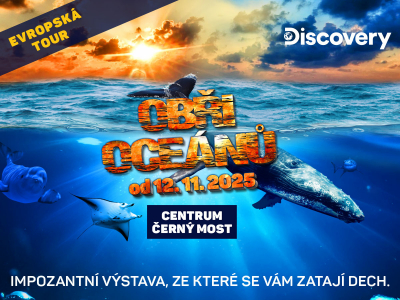 Obři oceánů