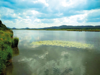 Novozámecký rybník, foto © Pavlína Šámalová