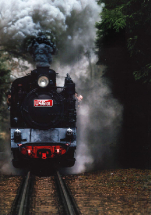 Po stopách úzkokolejky