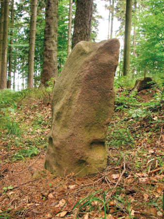 Hradiště Kopce – možný menhir