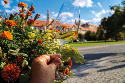 Valtice – hlavní město vína