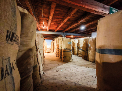 Labyrint chmelových žoků