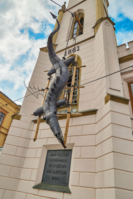 Drak na věži trutnovské Staré radnice