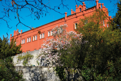 Zámek Klášterec nad Ohří s kvetoucími magnoliemi