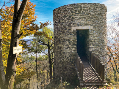 Böhmischer Wald, Alt Herštejn