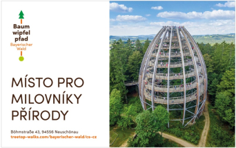 Stezka korunami stromů