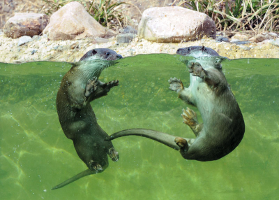 Zoo Plzeň