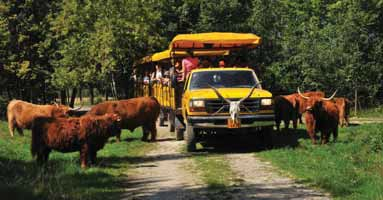 chomutov-–-safari-i-more-v-srdci-evropy