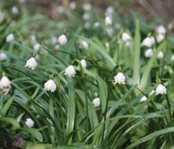 putovani-regionem-neisseland-–-ceskolipsko