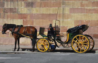 Panský dvůr Telč – zažijte adrenalin i historii na jednom místě