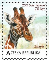 SOUTĚŽ O 5 RODINNÝCH VSTUPENEK DO ZOO DVŮR KRÁLOVÉ