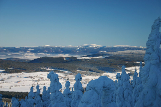 Přijměte naše pozvání do Orlických hor
