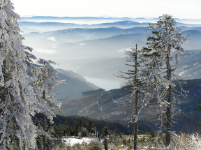 Winter Fairytale in the Beskydy