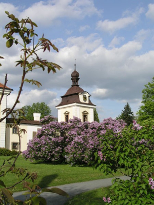 Obrázek č.0