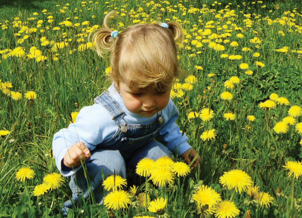 Wandering around in the Moravian-Silesian region