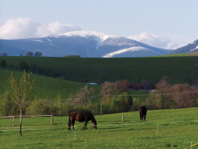 Crisscrossing the Králicko Region