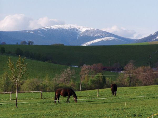 Crisscrossing the Králicko Region
