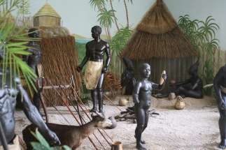 Se školou do Afriky