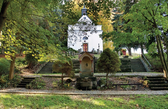 Hory u České Třebové 