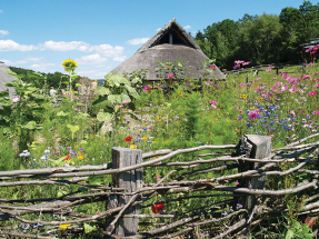 Po stopách Keltů v Plzeňském kraji